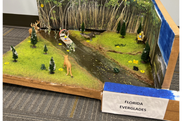 Everglades