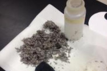 Examining Filtration Media after testing